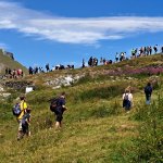 Uno dei grandi gruppi in Val Troncea nel 2025 - Foto D. Giuliano